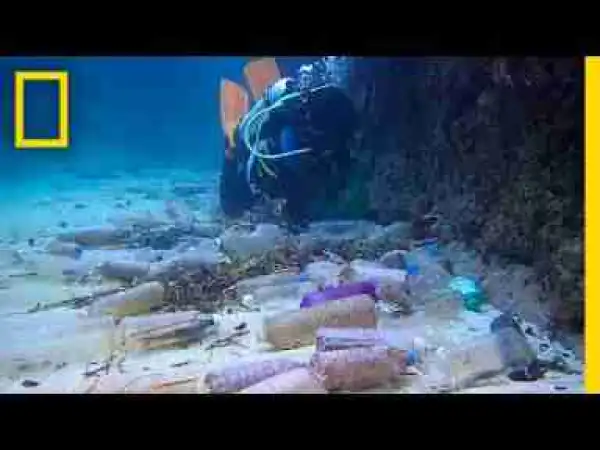 Video: Here